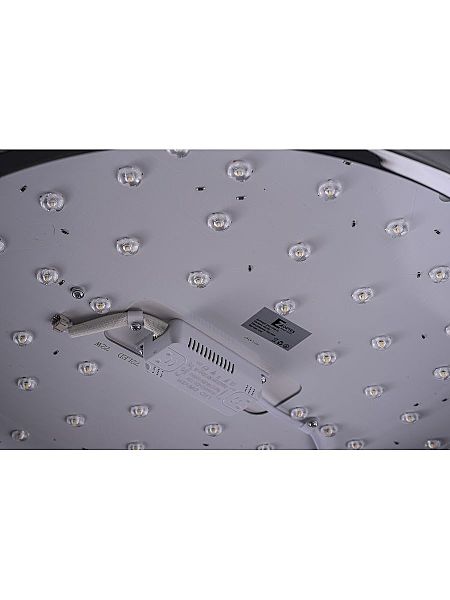 Светильник потолочный Monna ZRS.1209.12