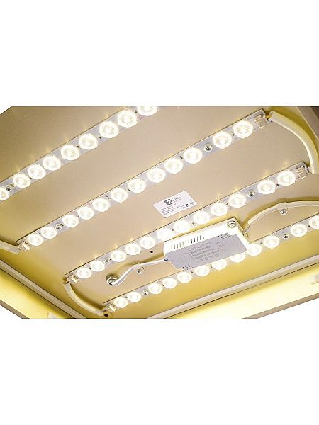 Светильник потолочный Gabby ZRS.1215.03