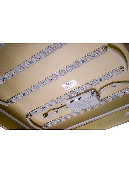 Светильник потолочный Gabby ZRS.1215.03