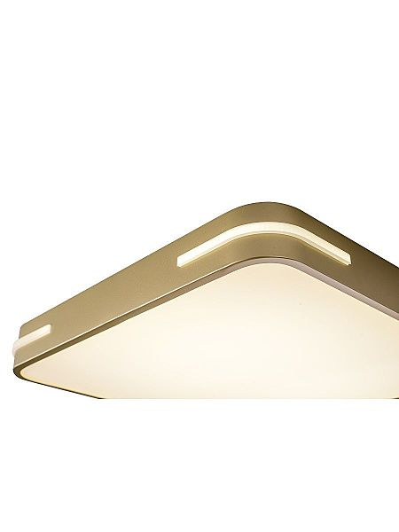 Светильник потолочный Gabby ZRS.1215.03