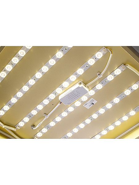 Светильник потолочный Gabby ZRS.1215.04