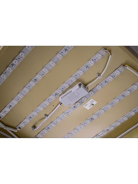 Светильник потолочный Gabby ZRS.1215.04