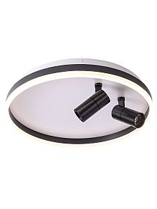 Светильник потолочный Raizy ZRS.1888.01