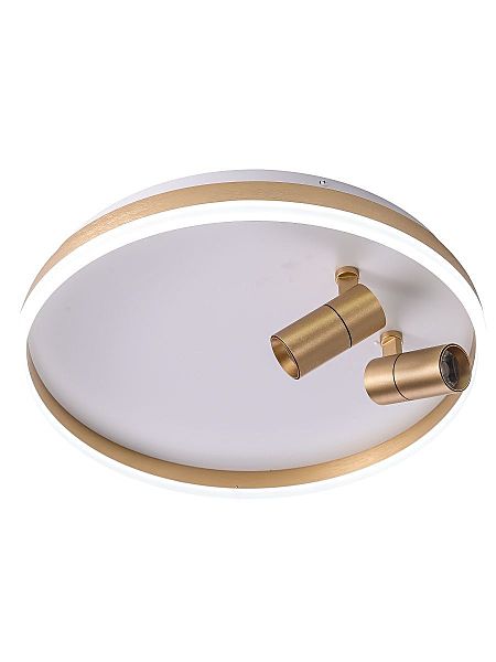 Светильник потолочный Raizy ZRS.1888.02