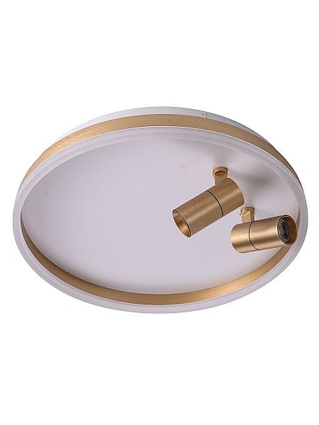 Светильник потолочный Raizy ZRS.1888.02