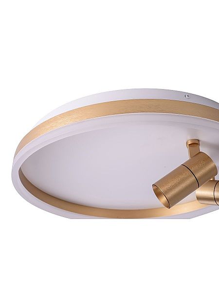 Светильник потолочный Raizy ZRS.1888.02