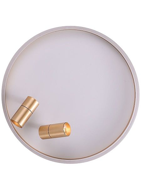 Светильник потолочный Raizy ZRS.1888.02