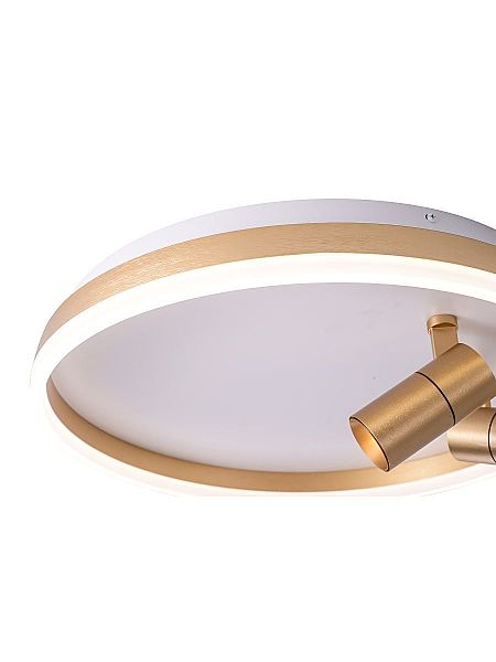 Светильник потолочный Raizy ZRS.1888.02