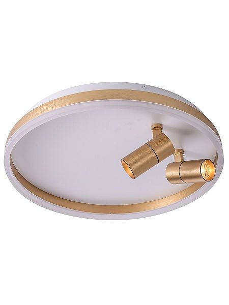 Светильник потолочный Raizy ZRS.1888.02