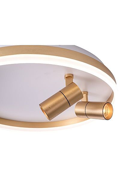 Светильник потолочный Raizy ZRS.1888.02