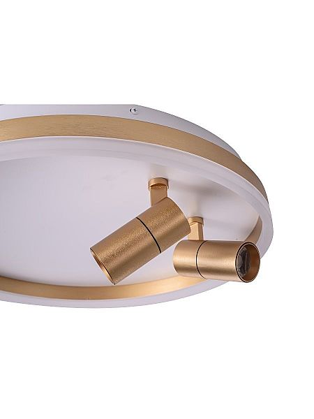 Светильник потолочный Raizy ZRS.1888.02