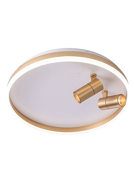 Светильник потолочный Raizy ZRS.1888.02