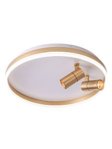 Светильник потолочный Raizy ZRS.1888.02
