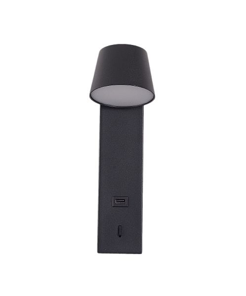 Настенный светильник Tommy ZRS.23005.6