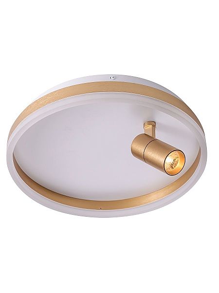 Светильник потолочный Raizy ZRS.1888.04