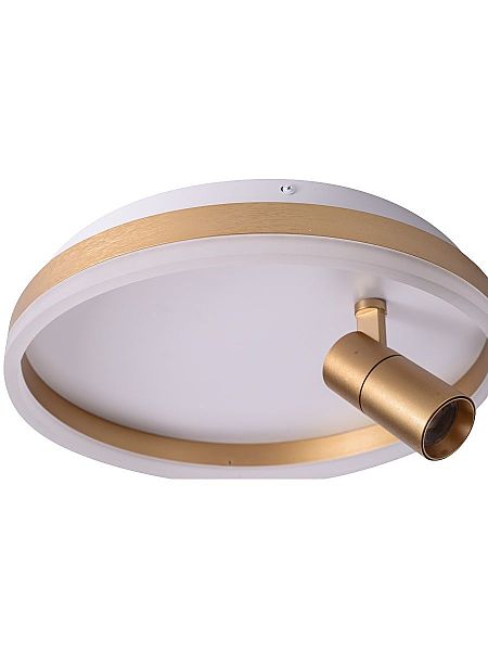 Светильник потолочный Raizy ZRS.1888.04