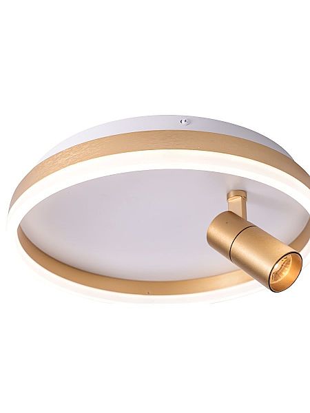 Светильник потолочный Raizy ZRS.1888.04