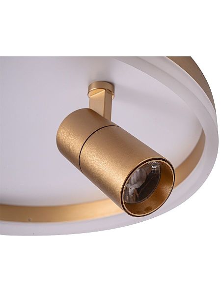 Светильник потолочный Raizy ZRS.1888.04