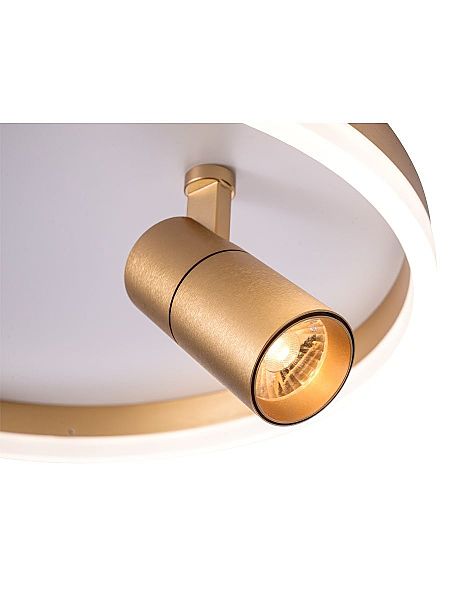 Светильник потолочный Raizy ZRS.1888.04