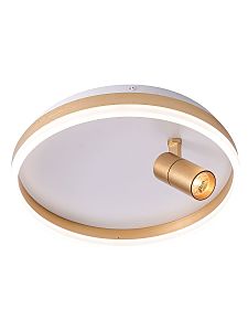 Светильник потолочный Raizy ZRS.1888.04