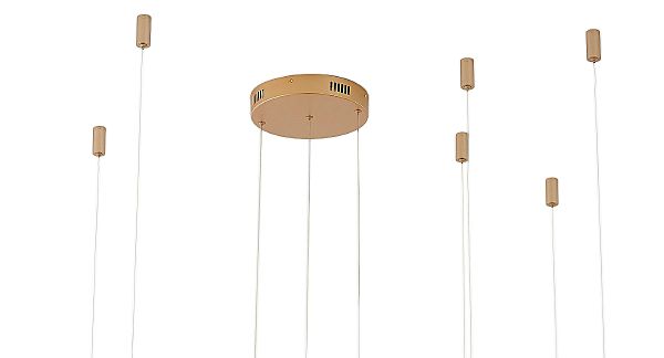 Подвесная люстра Ringolight ZRS.33320.75F