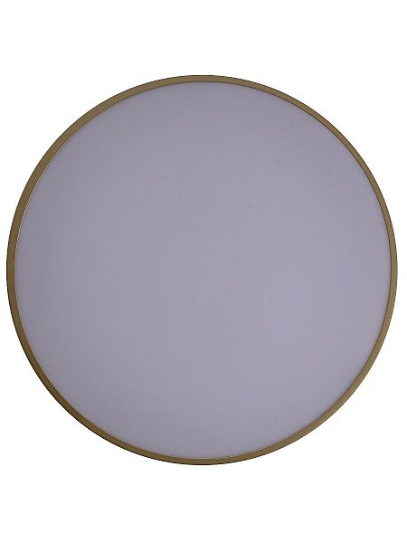 Светильник потолочный Gabby ZRS.90610.40