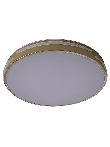 Светильник потолочный Gabby ZRS.90610.40