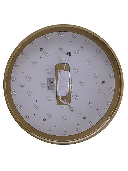 Светильник потолочный Gabby ZRS.90610.40