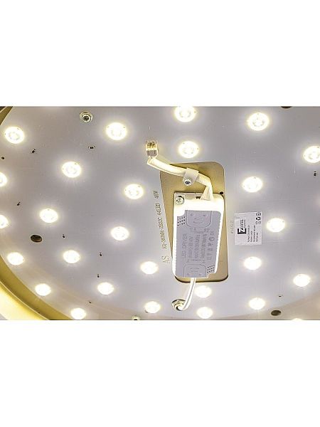 Светильник потолочный Gabby ZRS.90610.40