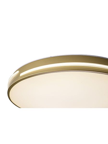 Светильник потолочный Gabby ZRS.90610.50