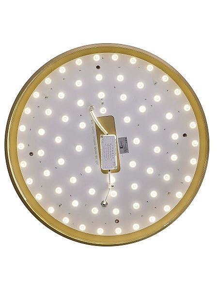 Светильник потолочный Gabby ZRS.90610.50