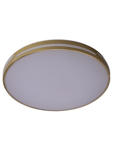 Светильник потолочный Gabby ZRS.90610.50