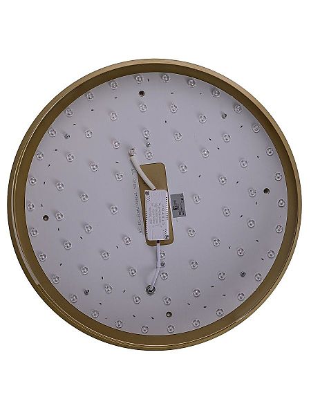 Светильник потолочный Gabby ZRS.90610.50