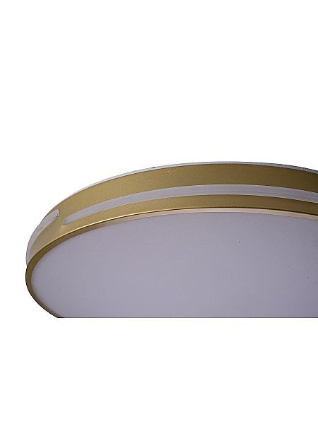 Светильник потолочный Gabby ZRS.90610.50