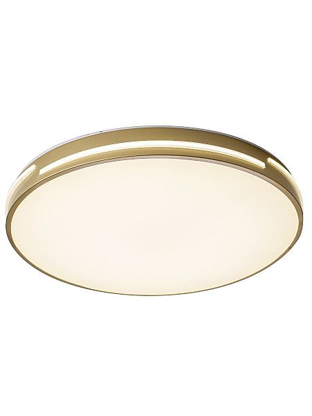 Светильник потолочный Gabby ZRS.90610.50