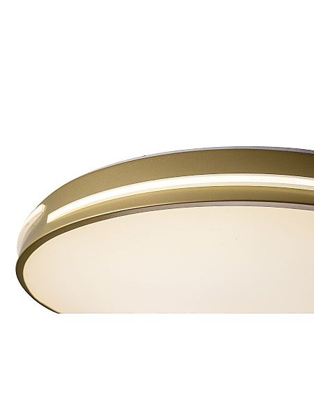 Светильник потолочный Gabby ZRS.90610.50