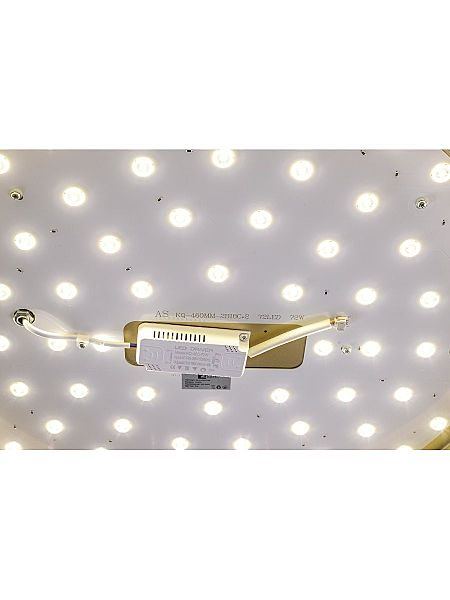 Светильник потолочный Gabby ZRS.90610.50