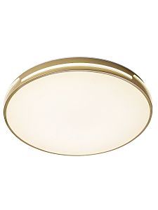 Светильник потолочный Gabby ZRS.90610.50