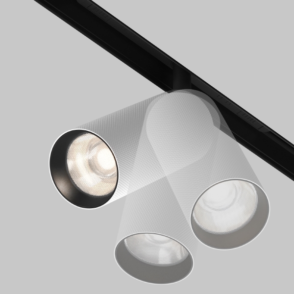 Трековый светильник Artisan Exility TR097-2-12W4K-M-BW