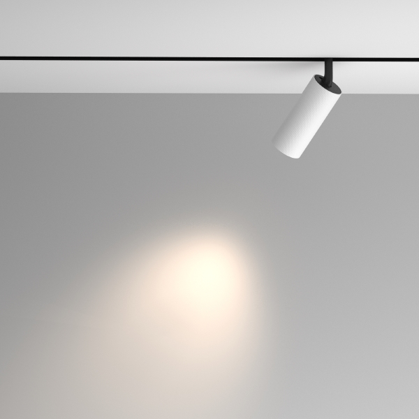 Трековый светильник Artisan Exility TR097-2-12W4K-M-BW