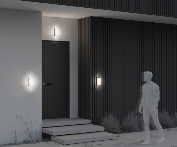 Уличный настенный светильник Badd O454WL-L10GF3K