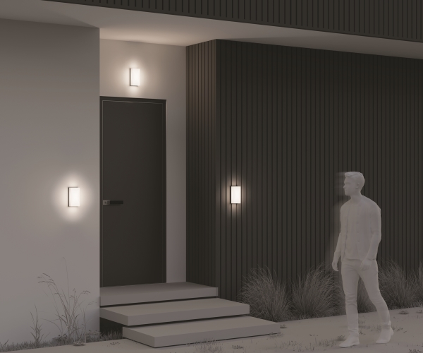 Уличный настенный светильник Badd O454WL-L10GF3K