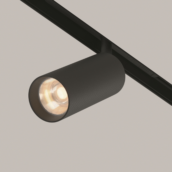 Трековый светильник Artisan Exility TR097-2-12W3K-M-BB