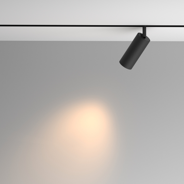 Трековый светильник Artisan Exility TR097-2-12W3K-M-BB