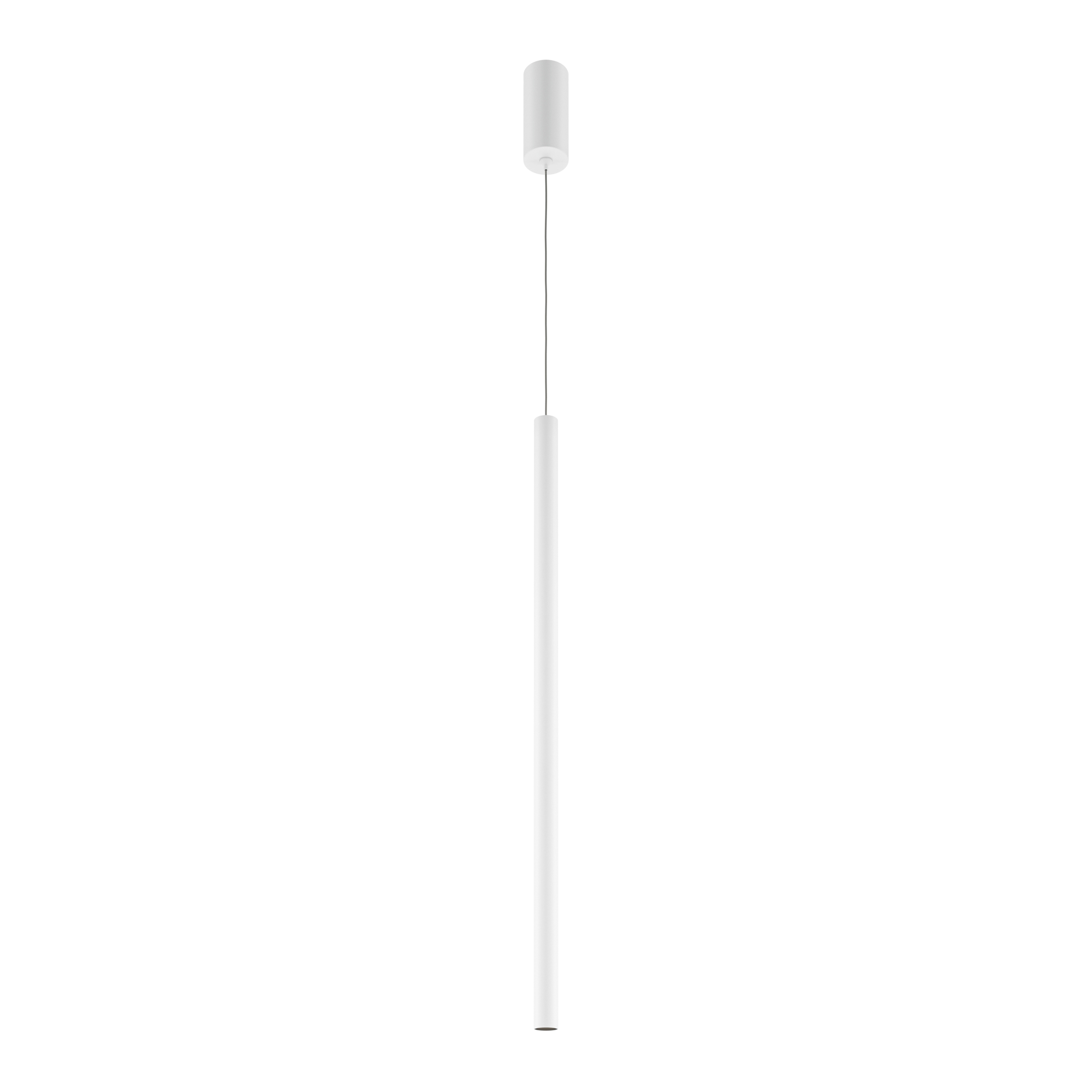 Pro Extra
