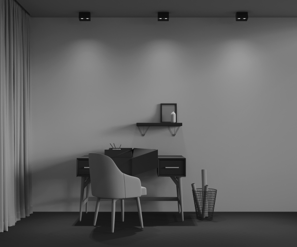 Накладной светильник Alfa LED C065CL-02-L12W4K-B