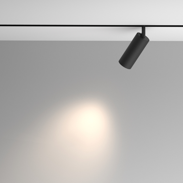 Трековый светильник Artisan Exility TR097-2-12W4K-M-BB