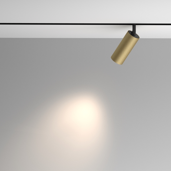 Трековый светильник Artisan Exility TR097-2-12W4K-M-BMG
