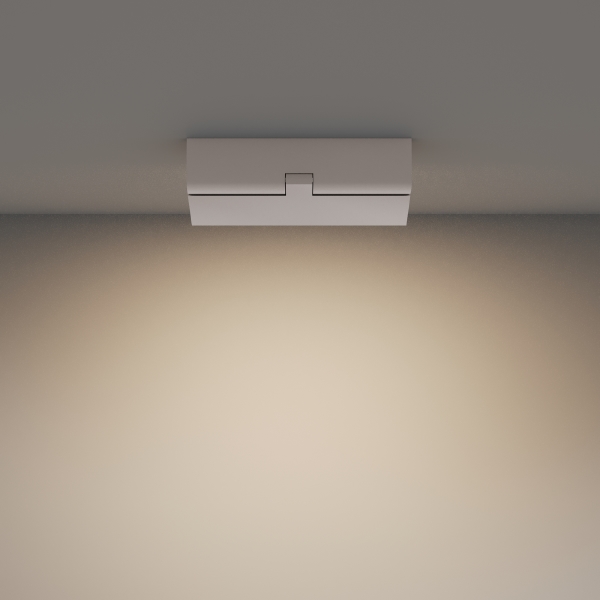 Светильник потолочный Basis Rot C133CL-12W3K-W