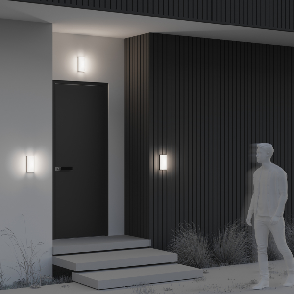 Уличный настенный светильник Badd O454WL-L10GF3K1